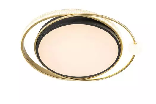 Потолочный светильник Arte Lamp ALBIREO A2658PL-58BK