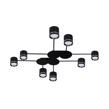 Потолочный светильник Arte Lamp LEGACY A8024PL-8BK