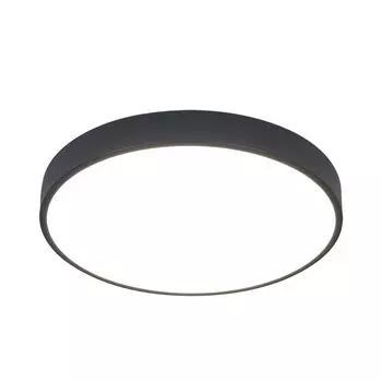 Потолочный светильник ArteLamp ARENA A2661PL-1BK