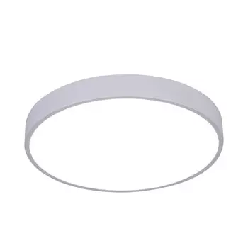 Потолочный светильник ArteLamp ARENA A2661PL-1WH