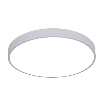 Потолочный светильник ArteLamp ARENA A2670PL-1WH