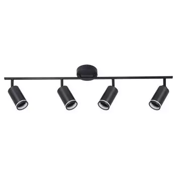 Потолочный светильник ArteLamp IMAI A2365PL-4BK