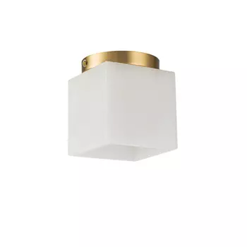 Потолочный светильник Belfast Ravenhill 3333F BR MB