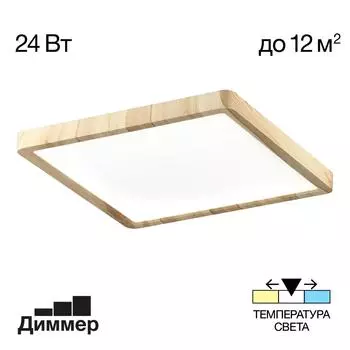 Потолочный светильник Citilux Бейсик CL738K242V