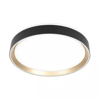 Потолочный светильник Citilux BOSS CL751351G