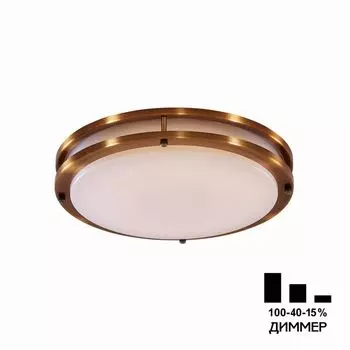 Потолочный светильник CitiLux Бостон CL709323N