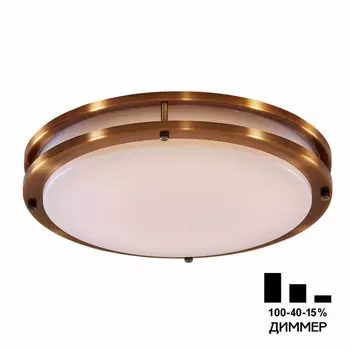 Потолочный светильник CitiLux Бостон CL709503N