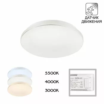Потолочный светильник CitiLux Симпла CL71424SV
