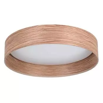 Потолочный светильник Eglo LUPPINERIA 900463