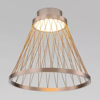 Потолочный светильник Eurosvet Cesta a069290