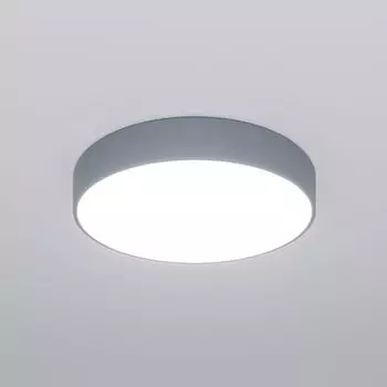 Потолочный светильник Eurosvet Entire a062834