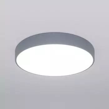 Потолочный светильник Eurosvet Entire a062835