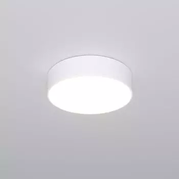 Потолочный светильник Eurosvet Entire a063076