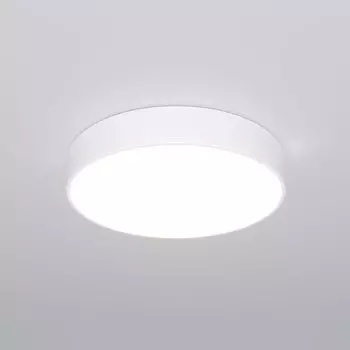 Потолочный светильник Eurosvet Entire a063077