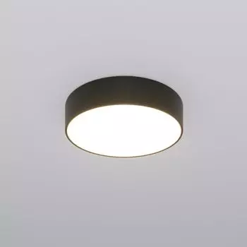 Потолочный светильник Eurosvet Entire a063079