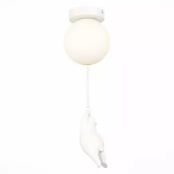 Потолочный светильник Evoluce MODENA SLE115402-01