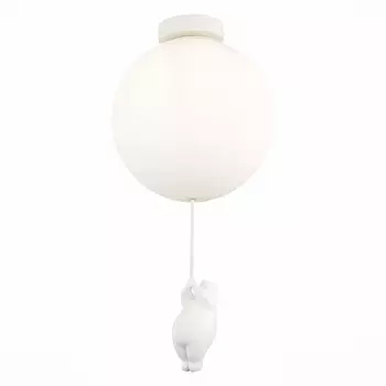 Потолочный светильник Evoluce MODENA SLE115412-01