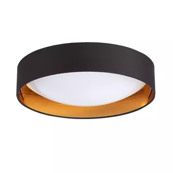 Потолочный светильник Evoluce ORBIO SLE201102-01