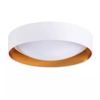 Потолочный светильник Evoluce ORBIO SLE201122-01