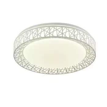 Потолочный светильник F-Promo Creatura 2314-5C