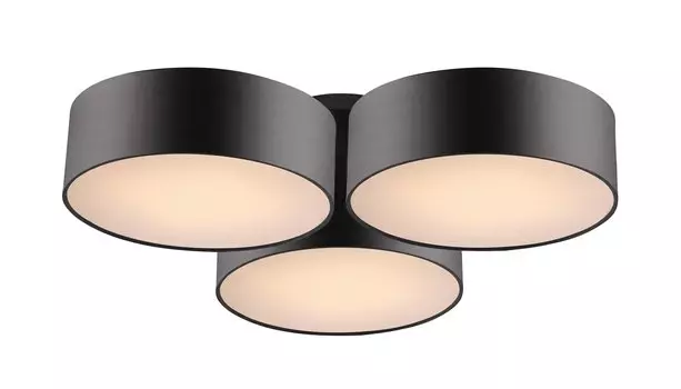 Потолочный светильник Favourite 1514-6C