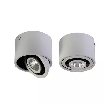 Потолочный светильник Favourite 1775-1C