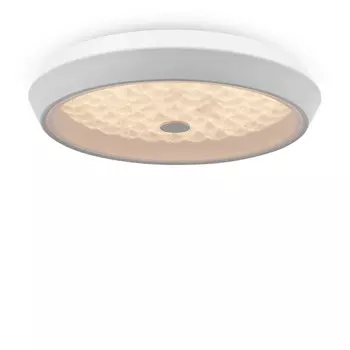 Потолочный светильник Freya Cells FR10012CL-L24W