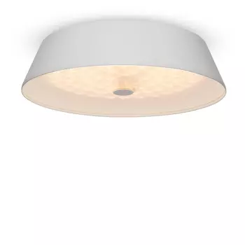 Потолочный светильник Freya Cells FR10013CL-L24W