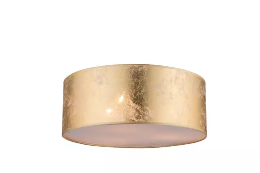 Потолочный светильник Globo Amy 15187D