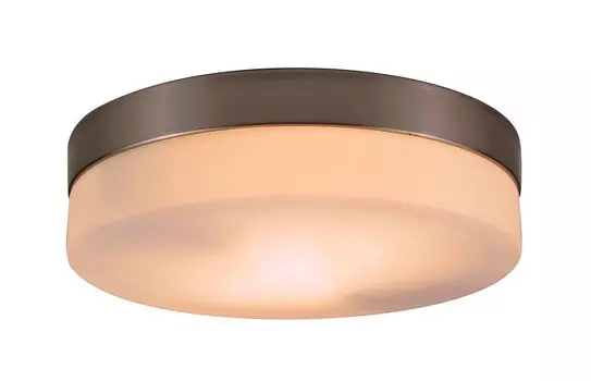 Потолочный светильник Globo Opal 48402