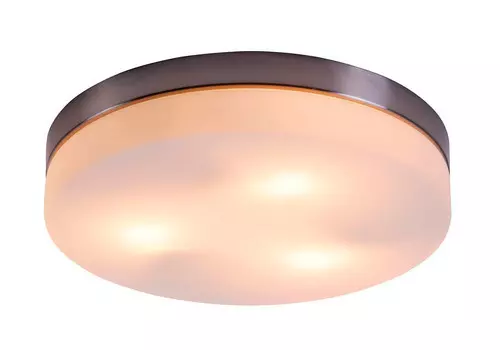 Потолочный светильник Globo Opal 48403