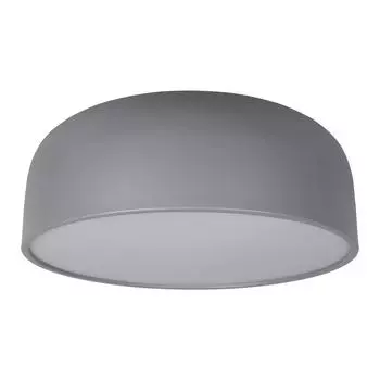Потолочный светильник Loft IT Axel 10201/480 Grey