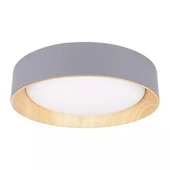 Потолочный светильник LOFT IT Coin 10202 Grey