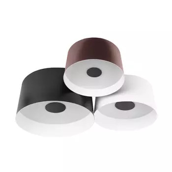 Потолочный светильник LOFT IT Duo 10360/3