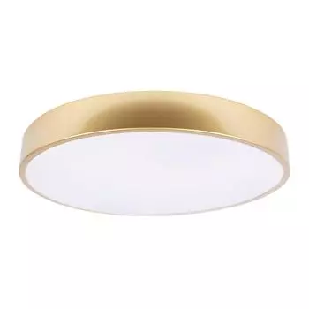 Потолочный светильник LOFT IT Flims 10228/A