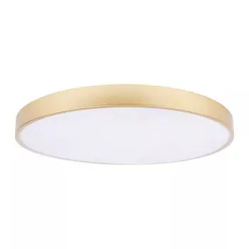 Потолочный светильник LOFT IT Flims 10228/B