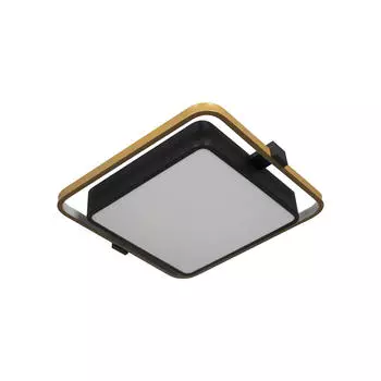 Потолочный светильник Loft IT Mike 10171