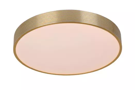 Потолочный светильник Lucide MALIN 79184/24/02