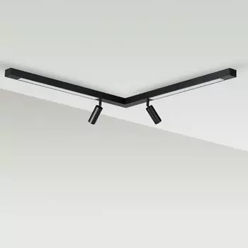 Потолочный светильник LUMION HAWK 5690/19CL