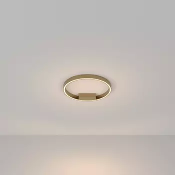 Потолочный светильник Maytoni Modern Rim MOD058CL-L25BS3K