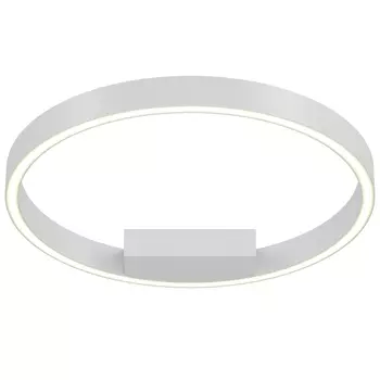 Потолочный светильник Maytoni Rim MOD058CL-L25WK