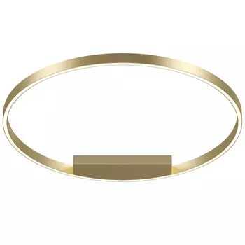 Потолочный светильник Maytoni Rim MOD058CL-L50BS4K