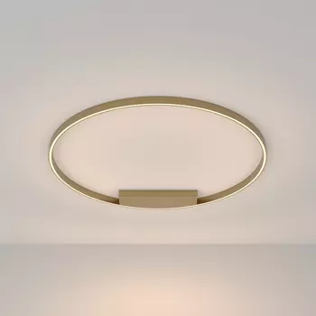 Потолочный светильник Maytoni Rim MOD058CL-L65BS3K