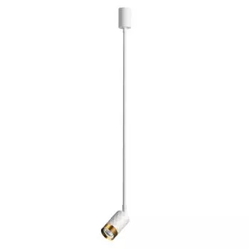 Потолочный светильник Odeon Light AD ASTRUM 4350/1C