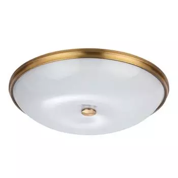 Потолочный светильник Odeon Light PELOW 4956/6