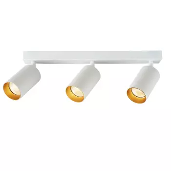 Потолочный светильник-спот Brizzi ARAS BR08088