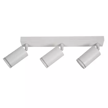 Потолочный светильник-спот Brizzi ARAS BR08091