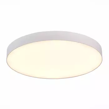 Потолочный светильник ST Luce ST606.532.96