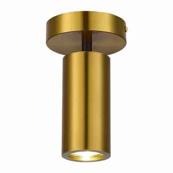 Потолочный светильник ST Luce TALIA SL1215.402.01