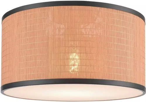 Потолочный светильник Velante 568-707-01